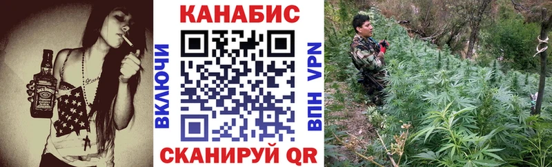 Купить закладку Cocaine  APVP  ГАШИШ  Конопля  Мефедрон  Соль-Илецк