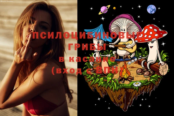 дурь Володарск
