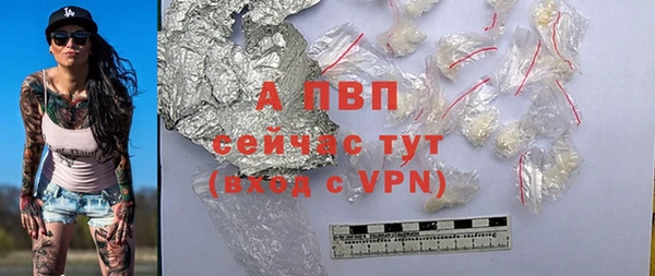 mdpv Волоколамск