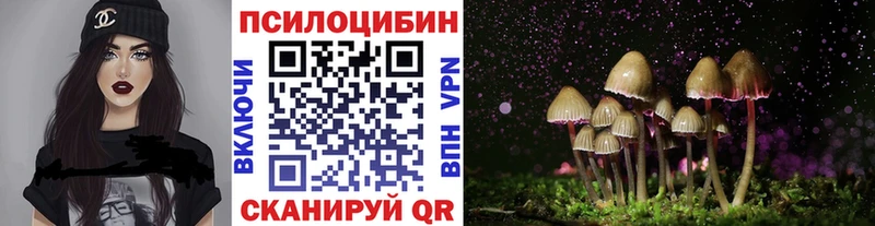 Галлюциногенные грибы Psilocybine cubensis  Купить  Соль-Илецк 